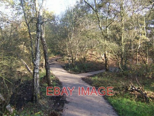 Fotowanderwege rauen wald - fotowanderwege, im