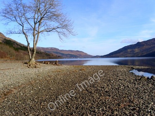 Foto 6x4 shoreside loch earn - shoreside,