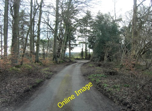 Foto 12x8 rocky lane - rocky, durch