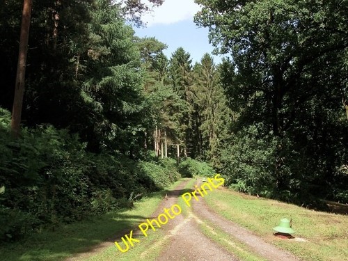 Foto 6x4 rocky wood - wood, balcombe