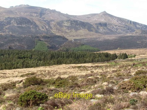 Foto 6x4 annalong wood - foto, den