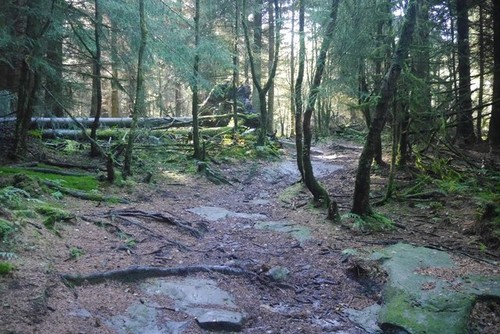Foto 6x4 weg - weg,, tor