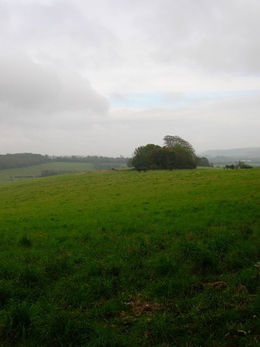 Foto 6x4 rocky clump - rocky, stanmer