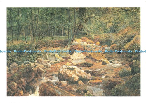 D223148 ein felsiger bach - ein,